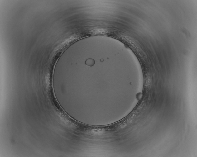 X0000112910353200909141256