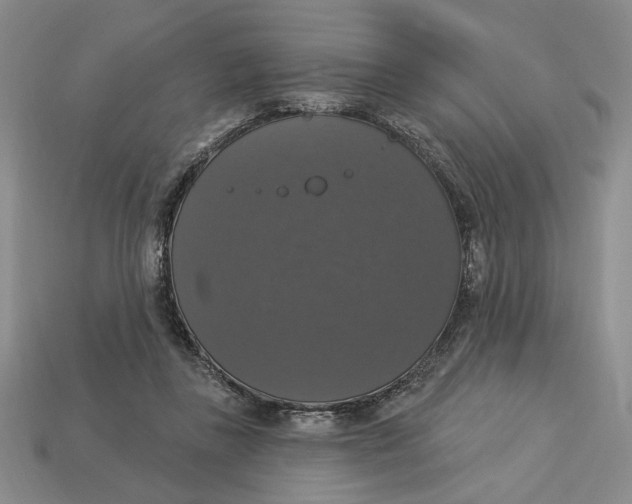 X0000112910355200909141256