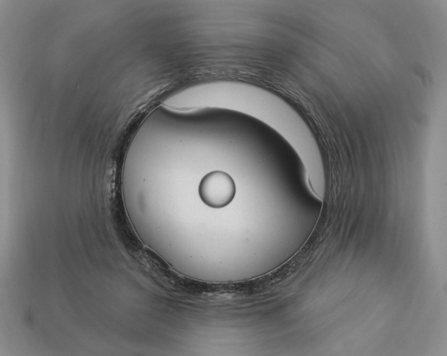 X0000112910356200909141256