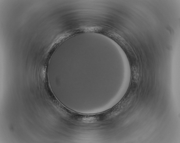 X0000112910357200909141256