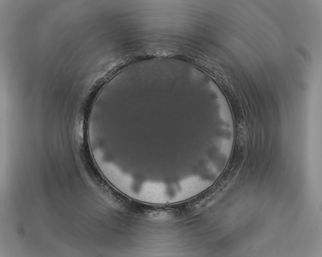 X0000112910358200909141256