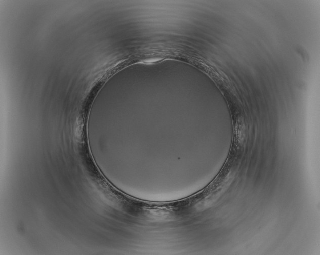 X0000112910359200909141256