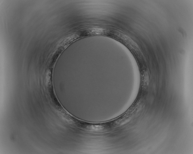 X0000112910361200909141256