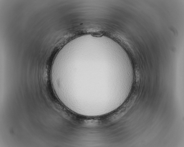 X0000112910362200909141256