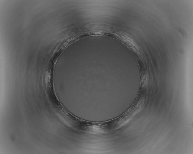 X0000112910365200909141256