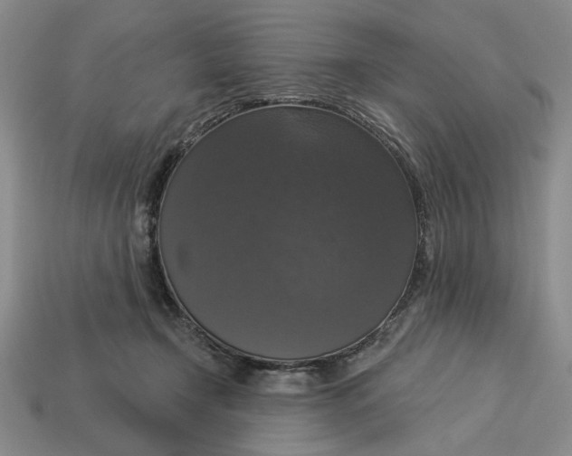 X0000112910366200909141256