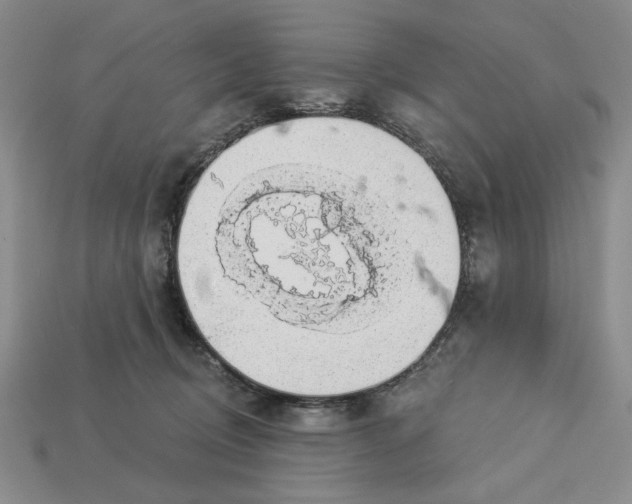 X0000112910370200909141256