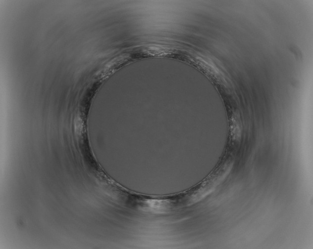 X0000112910371200909141256