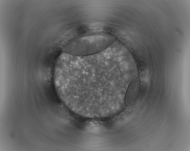 X0000112910372200909141256