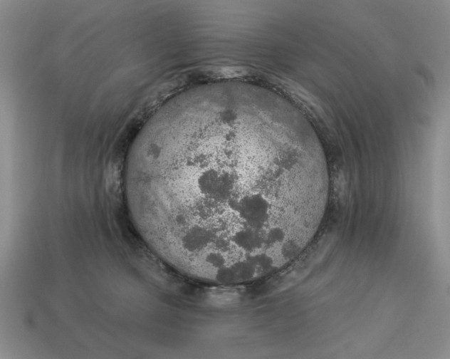 X0000112910373200909141256