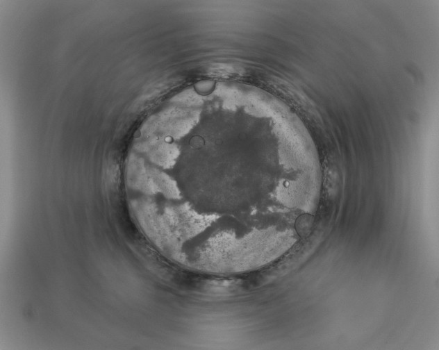 X0000112910375200909141256