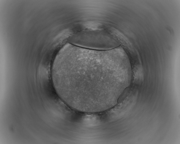 X0000112910376200909141256