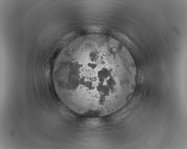 X0000112910377200909141256