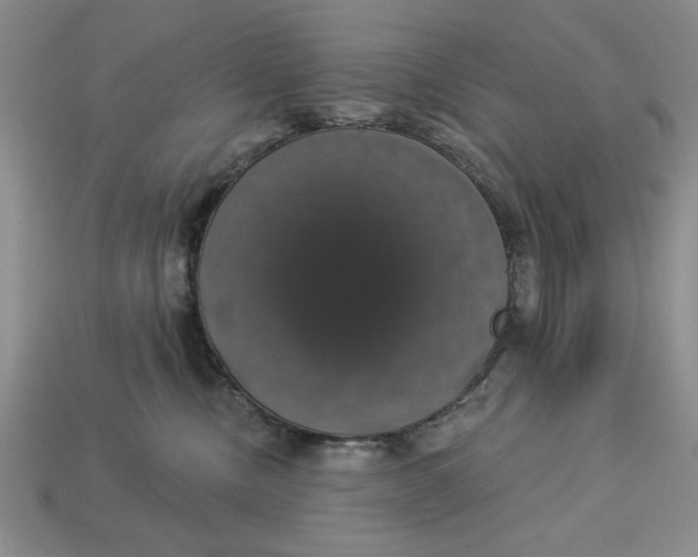 X0000112910378200909141256