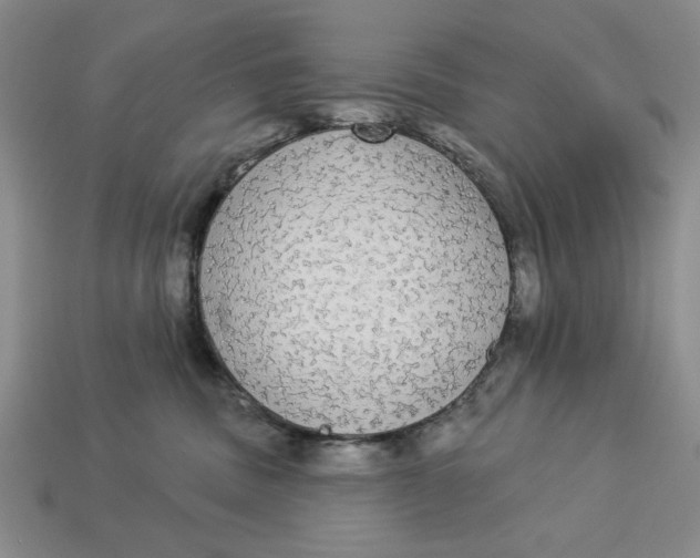 X0000112910379200909141256