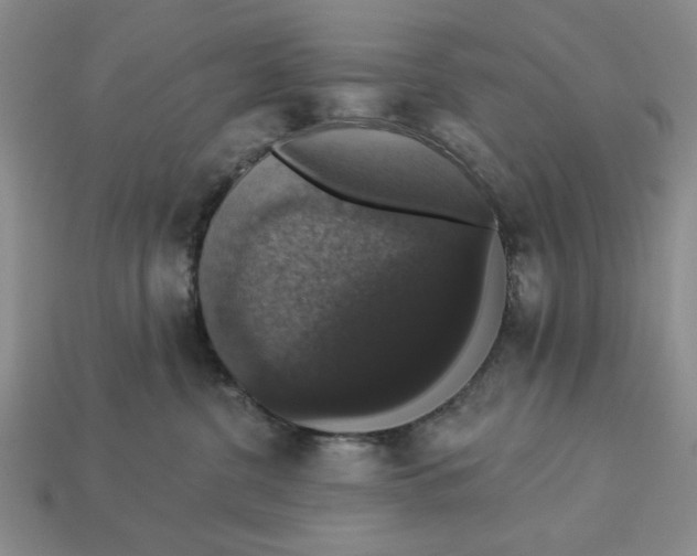 X0000112910380200909141256