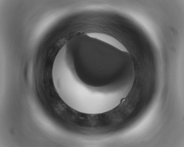 X0000112910382200909141256