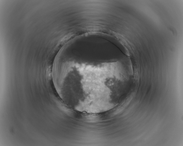 X0000112910383200909141256