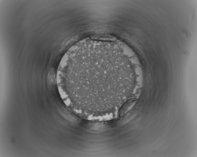 X0000112910384200909141256