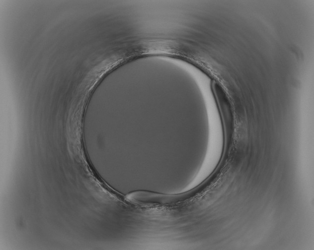 X0000112910385200909141255