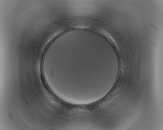 X0000112910386200909141255