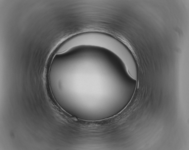 X0000112910387200909141255