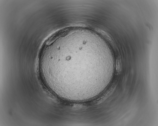 X0000112910388200909141255