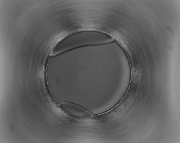 X0000112910389200909141255