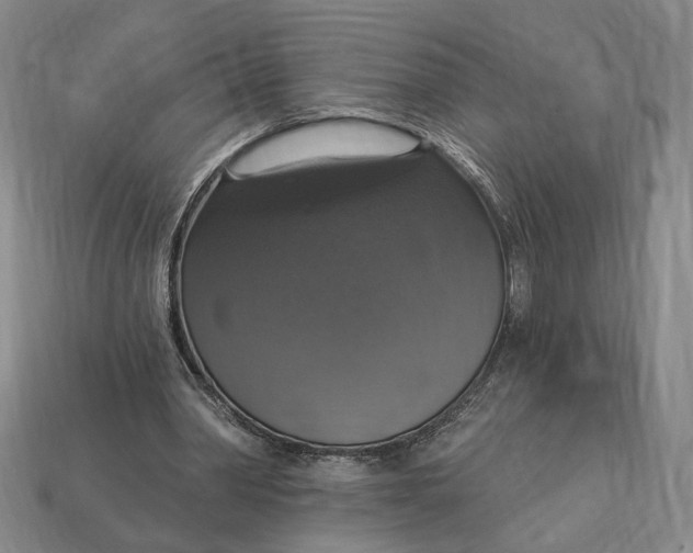 X0000112910390200909141255