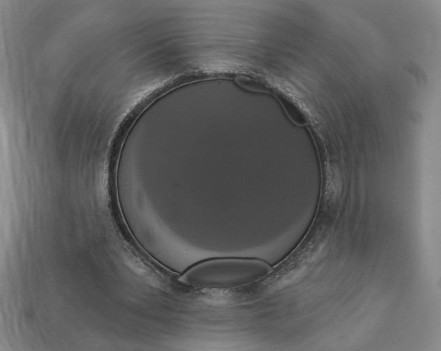 X0000112910391200909141255