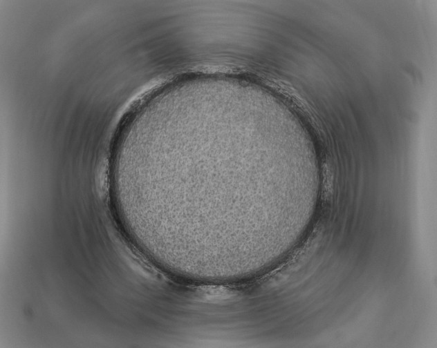 X0000112910392200909141255