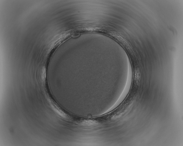 X0000112910397200909141255