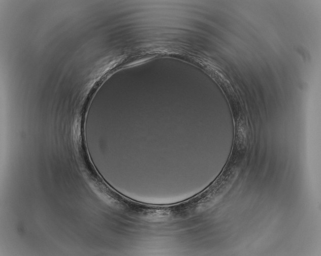 X0000112910398200909141255