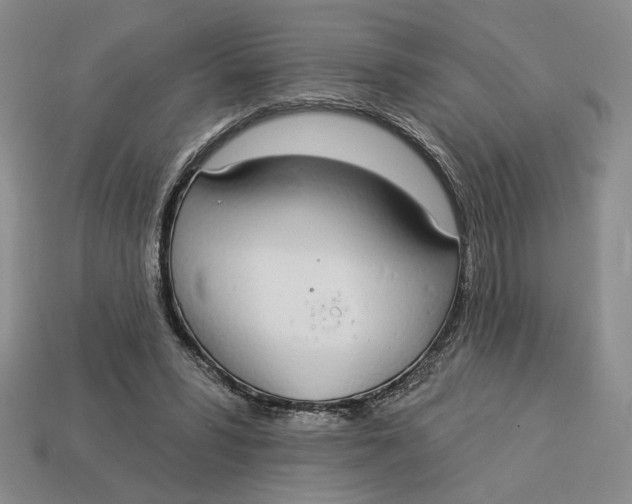 X0000112910399200909141255