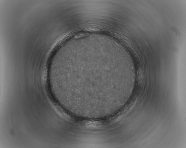 X0000112910400200909141255