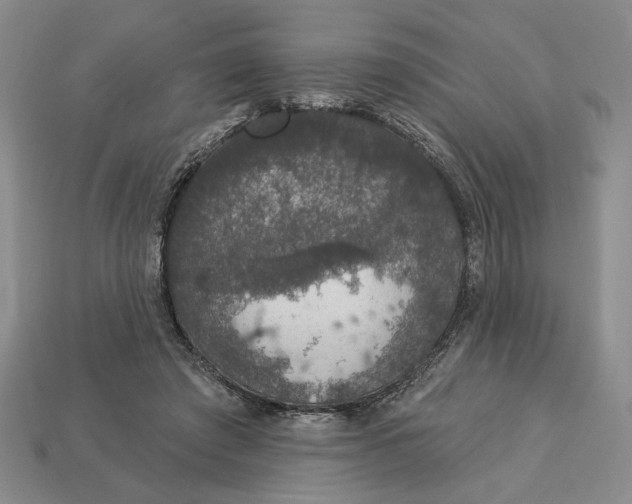 X0000112910401200909141255