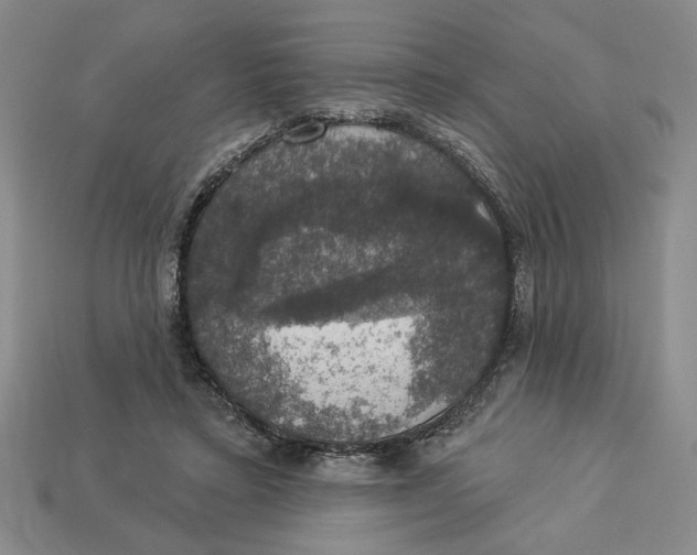 X0000112910403200909141255