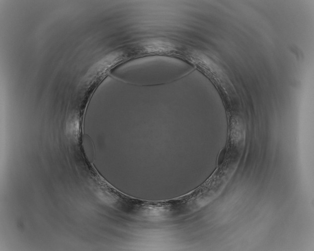 X0000112910405200909141255