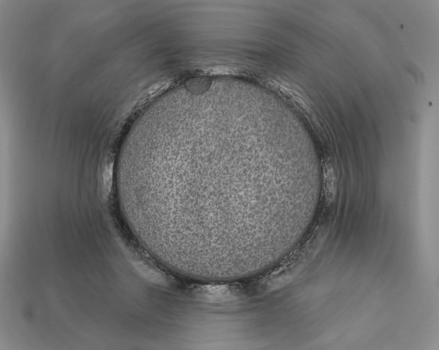 X0000112910406200909141255