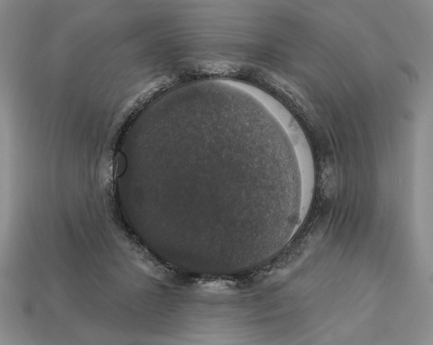 X0000112910407200909141255