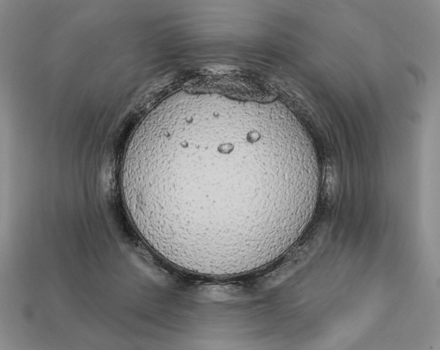 X0000112910408200909141255