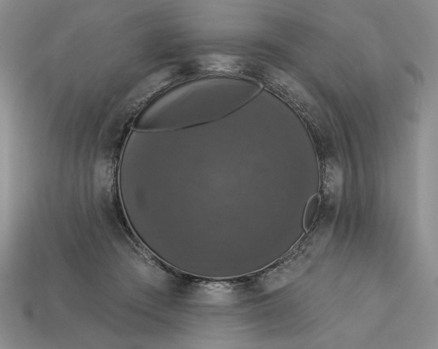 X0000112910409200909141255