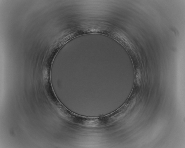 X0000112910410200909141255