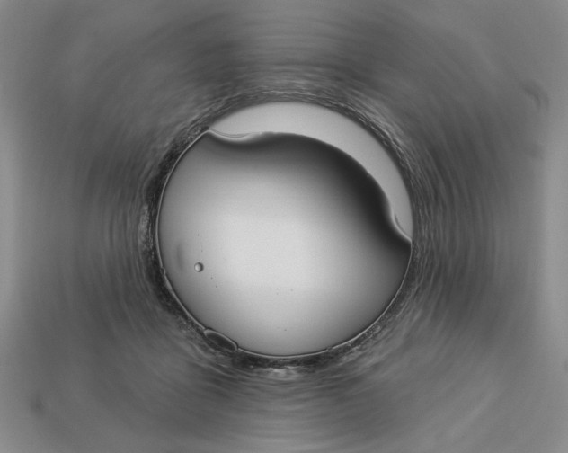 X0000112910411200909141255