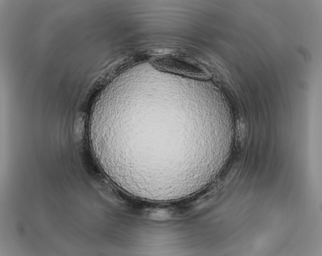 X0000112910412200909141255