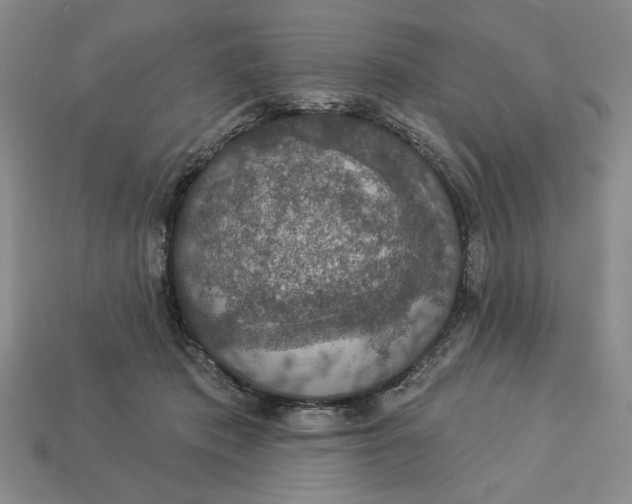 X0000112910413200909141255