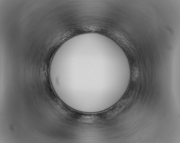 X0000112910414200909141255