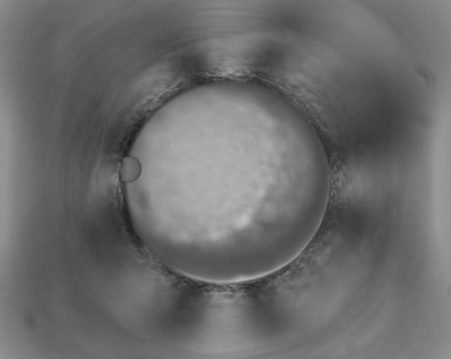 X0000112910415200909141255