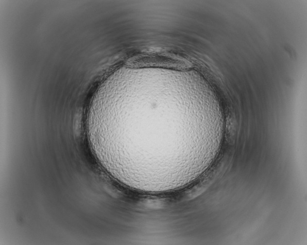 X0000112910416200909141255