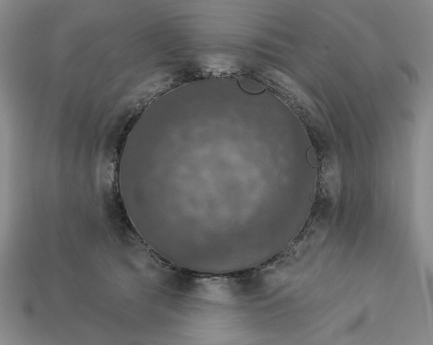 X0000112910417200909141255